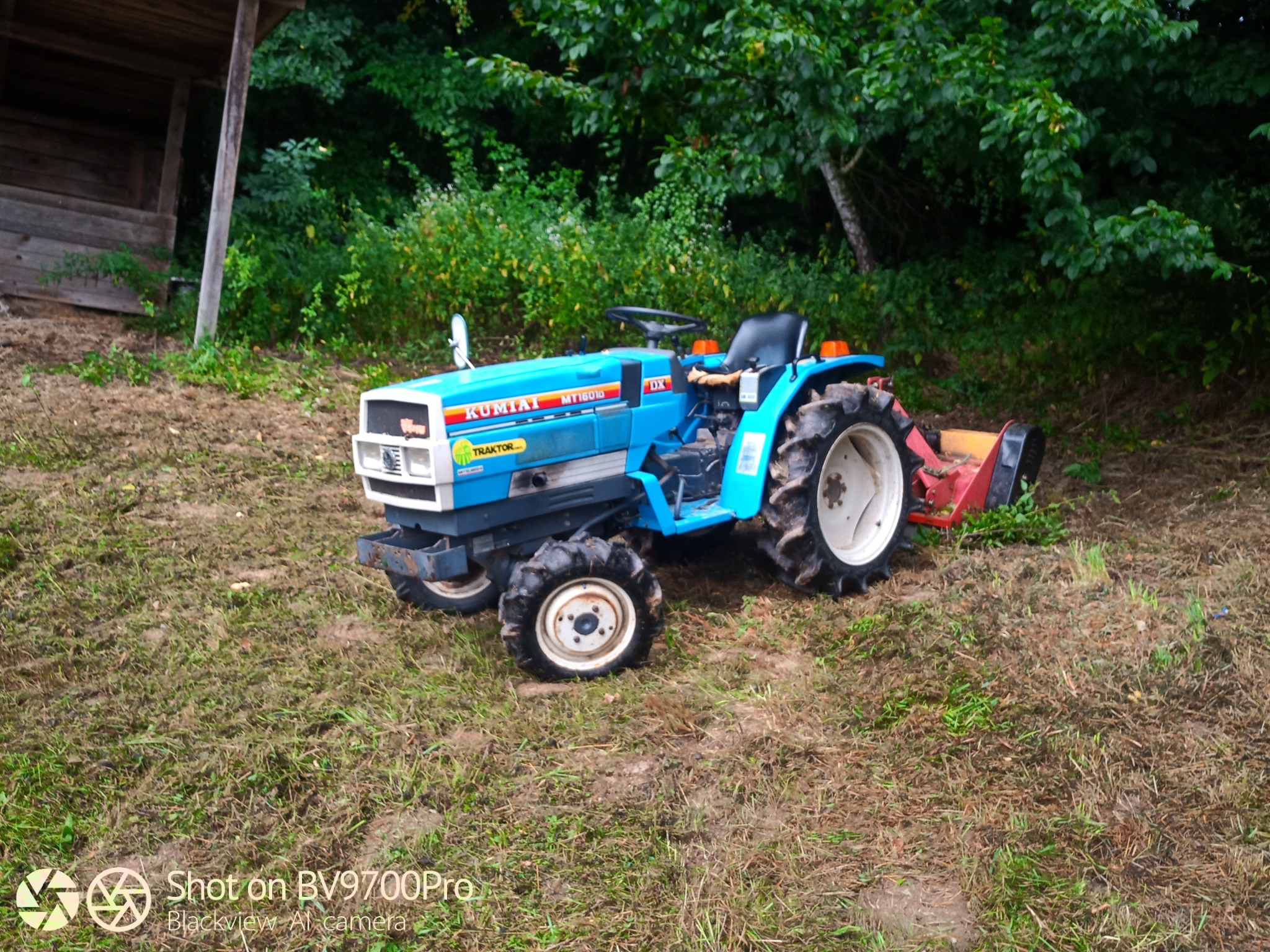 Niebieski traktor KUBOTA MT1601D z podłączoną kosiarką rotacyjną stoi na nierównym trawniku obok drewnianej szopy, otoczony zielenią.