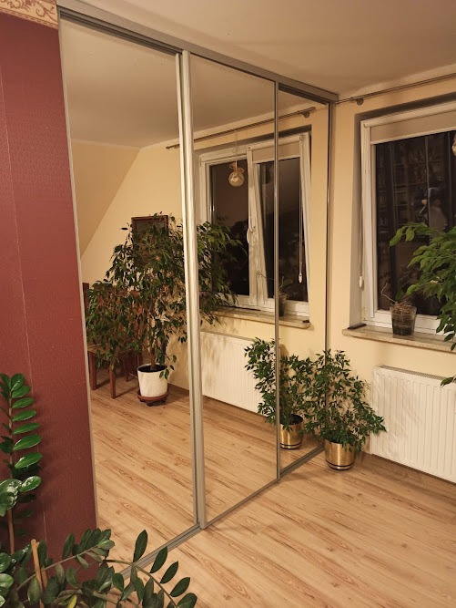 Trzydrzwiowa szafa przesuwna z lustrami, odbijająca wnętrze pokoju z parkietem, roślinami doniczkowymi i oknami.