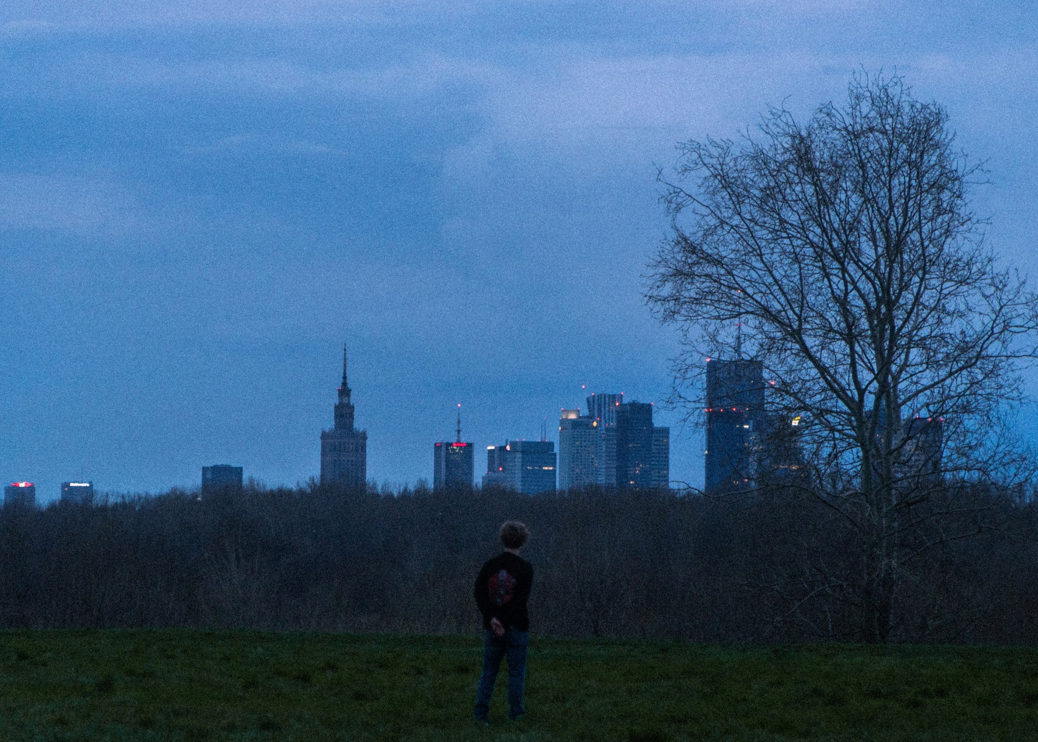 Sylwetka osoby stojącej tyłem na tle panoramy miasta z Pałacem Kultury i Nauki oraz drzewem bez liści, sfotografowana o zmierzchu.