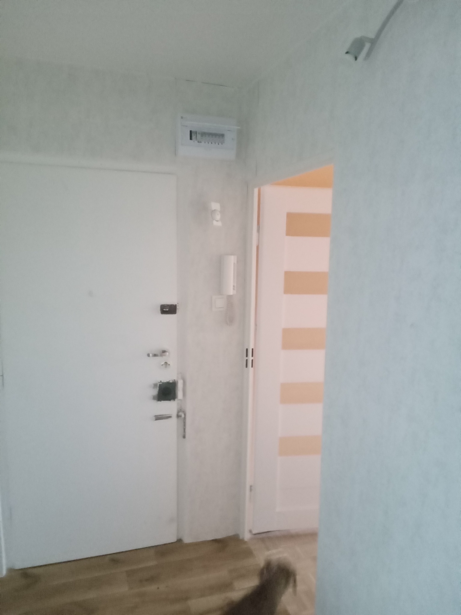 Białe drzwi wejściowe do mieszkania z widoczną instalacją elektryczną na ścianie i fragmentem wnętrza z dekoracyjnymi pasami na ścianie, z widocznym fragmentem podłogi i zwierzęciem w dolnej części...