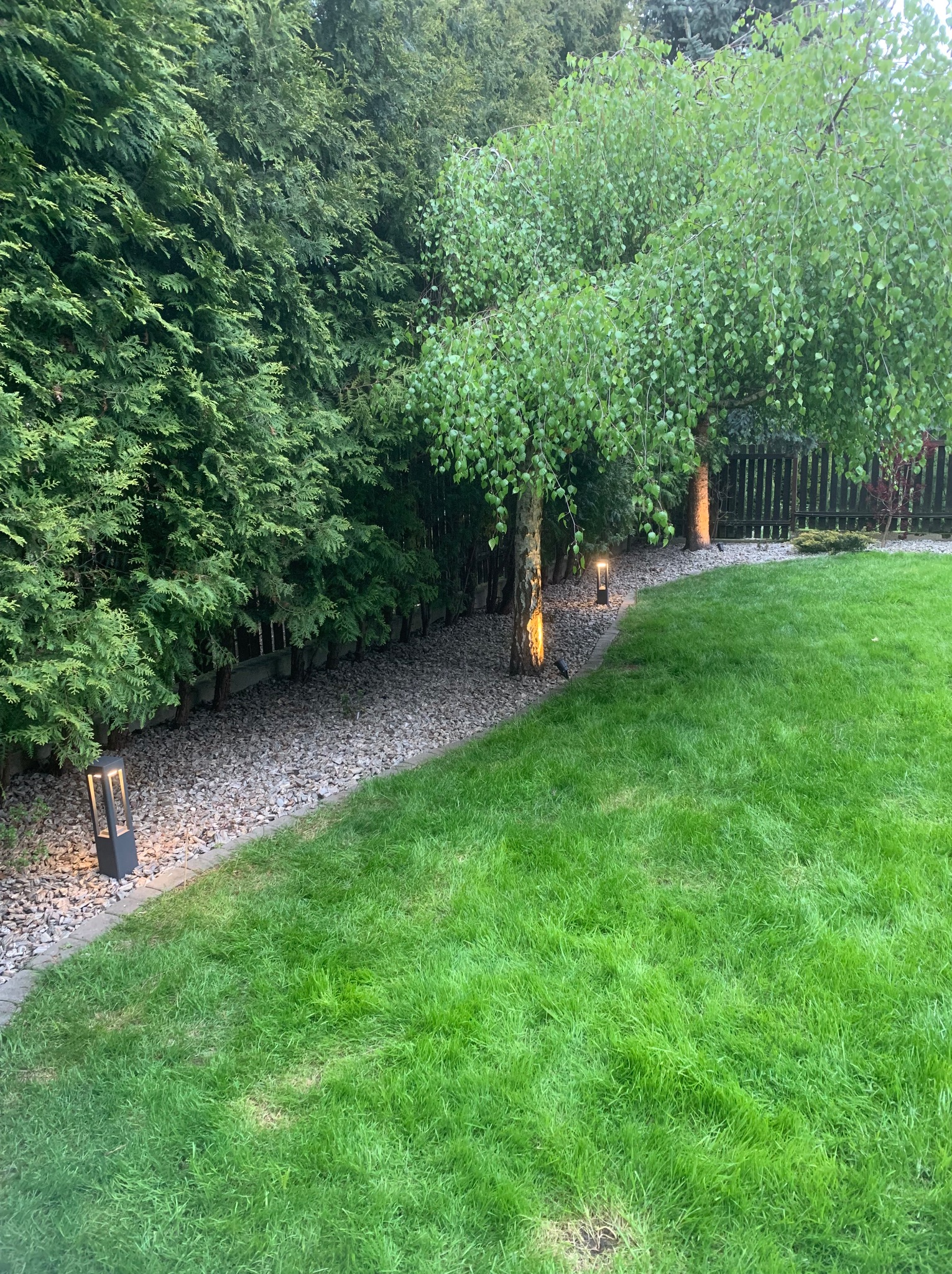 Oświetlenie ścieżki w ogrodzie z lampami stojącymi, podświetlającymi korę drzew. Trawa, kamienie i wysokie tuje tworzą naturalny krajobraz.