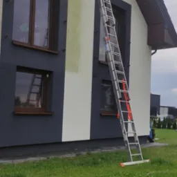 Dwukondygnacyjny dom z częściowo wyczyszczoną elewacją, widoczna aluminiowa drabina oparta o ścianę. Na elewacji widoczne zielone zabrudzenia, dolna część ściany w kolorze grafitowym.