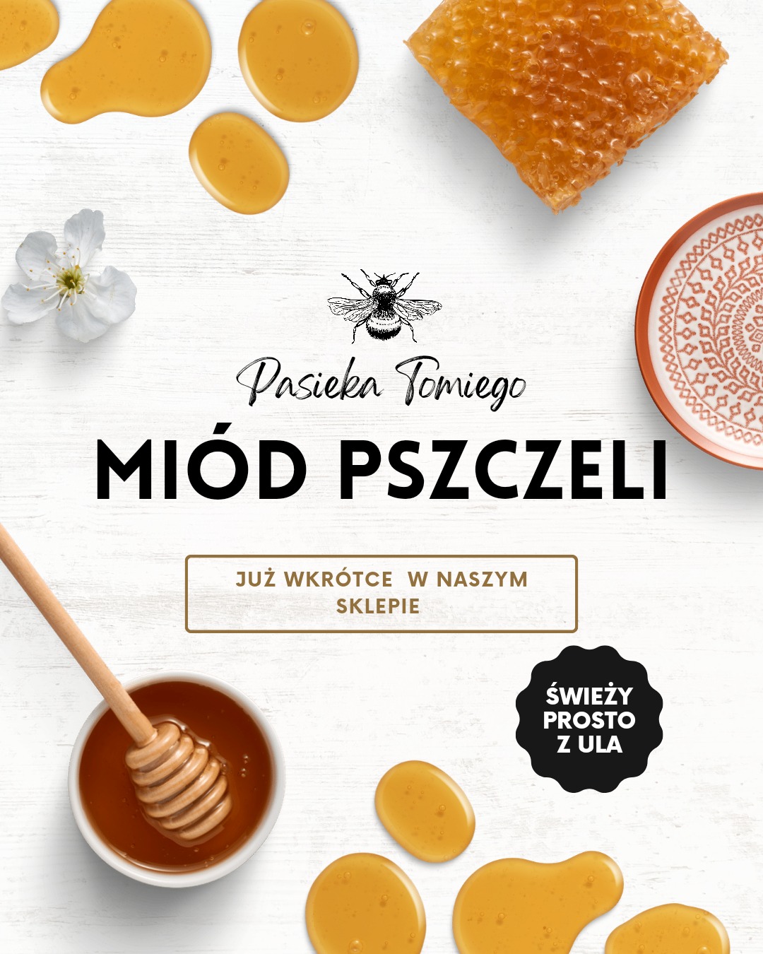 Grafika reklamowa pasieki z plastrem miodu, miseczką miodu z nabierakiem, kroplami miodu, kwiatem, talerzem i logo pszczoły na białym drewnianym tle.