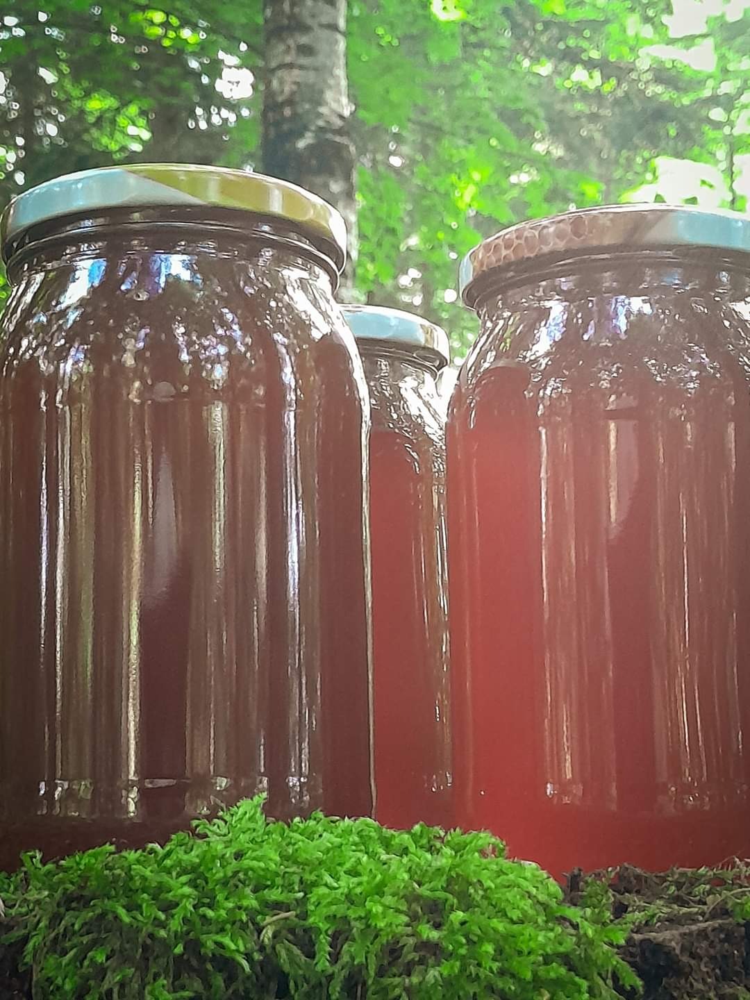 Trzy słoiki z ciemnym płynem, prawdopodobnie produktem pszczelim, ustawione na kępie mchu, z drzewami w tle.