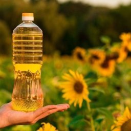 Ojej słonecznikowy własnej produkcji 