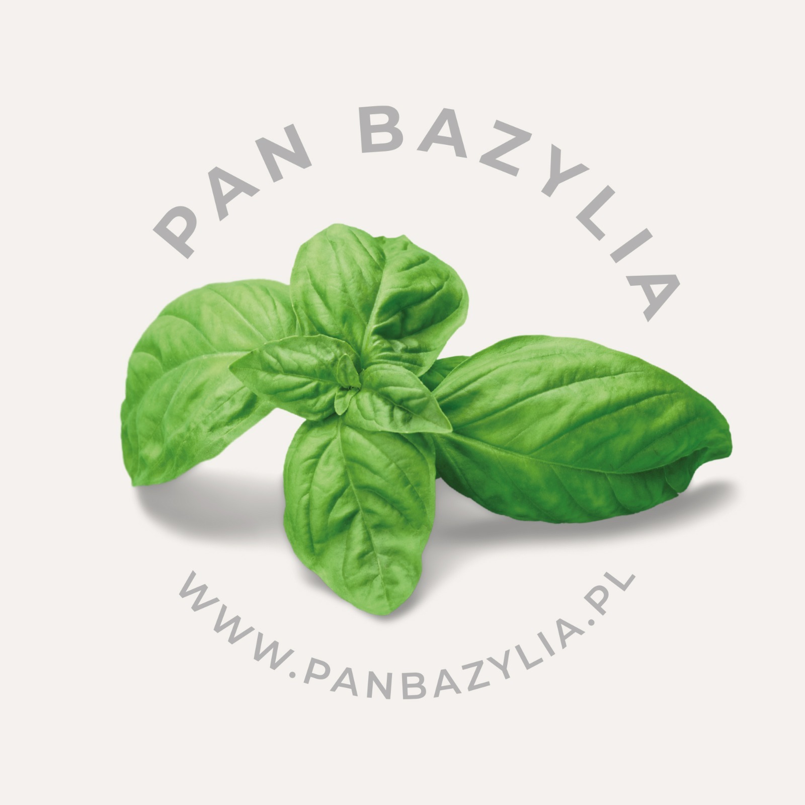 Logo firmy z liśćmi bazylii i nazwą 'Pan Bazylia' oraz adresem strony internetowej.