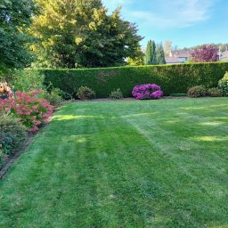 Pielęgnacja ogrodów Sieradz 4