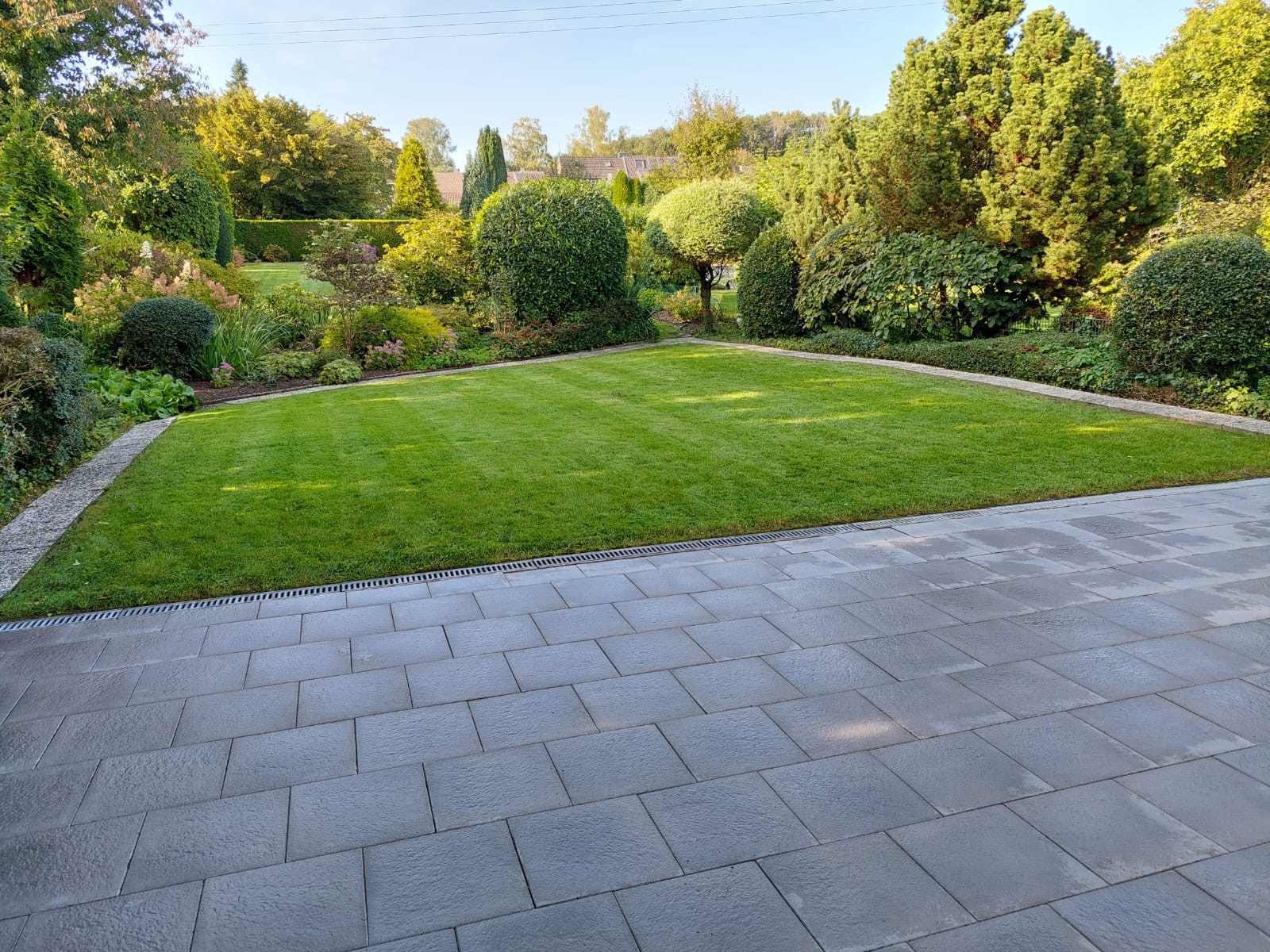 Starannie utrzymany trawnik z równo przystrzyżoną trawą, otoczony ozdobnymi krzewami i drzewami, widok z poziomu szarej kostki brukowej z odpływem liniowym