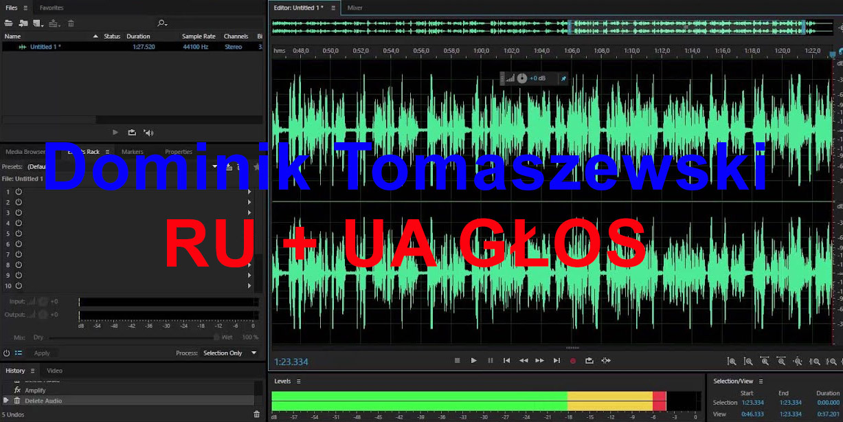 Wzór audio tłumaczenia z POLSKIEGO na UKRAIŃSKI