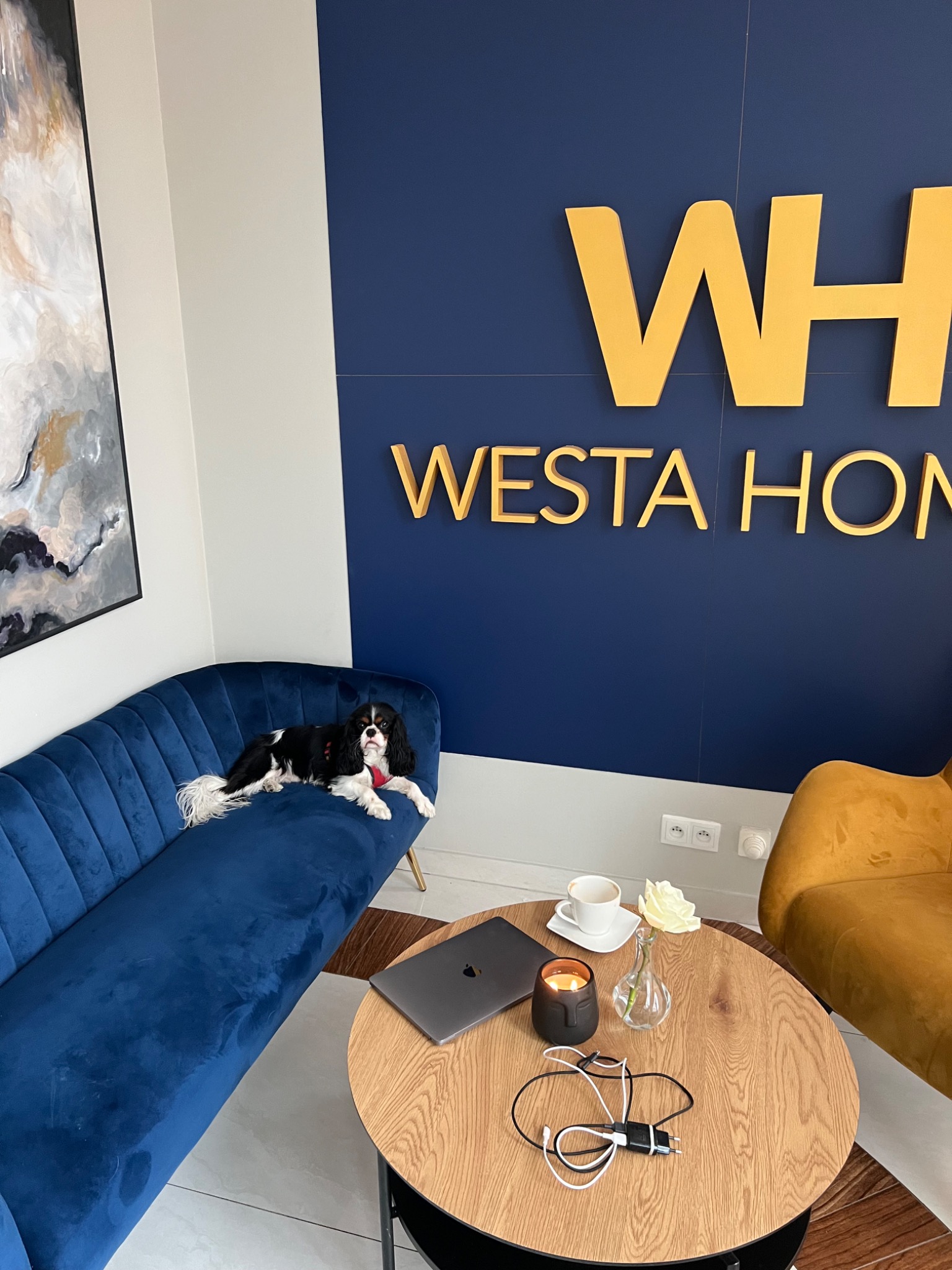 Cavalier King Charles Spaniel leży na niebieskiej, welurowej sofie w biurze nieruchomości Westa Home, obok okrągłego stolika z laptopem, kawą i ładowarką do telefonu.