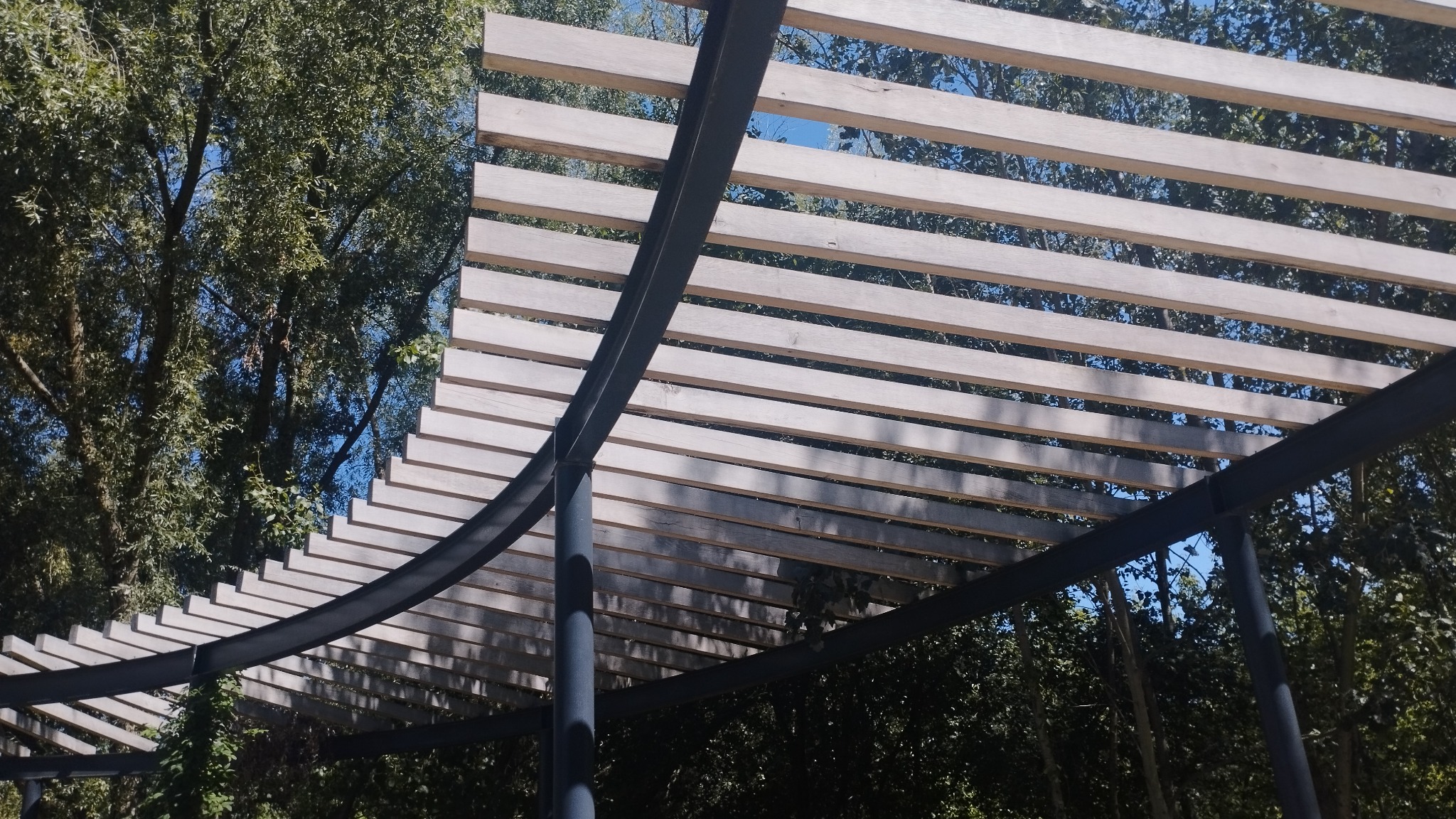 Pergola z drewnianymi belkami i metalową konstrukcją na tle zieleni drzew