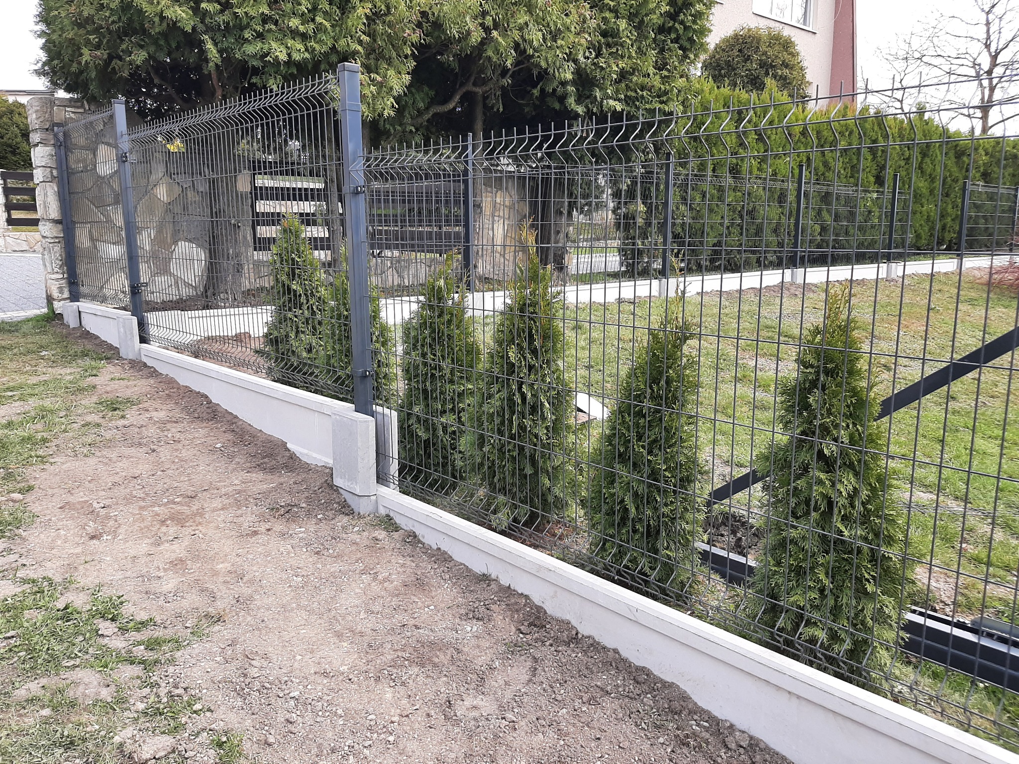 Nowoczesne ogrodzenie panelowe w kolorze grafitowym, osadzone na betonowej podmurówce, z młodymi tujami posadzonymi wzdłuż ogrodzenia. W tle widoczny budynek mieszkalny i zieleń.