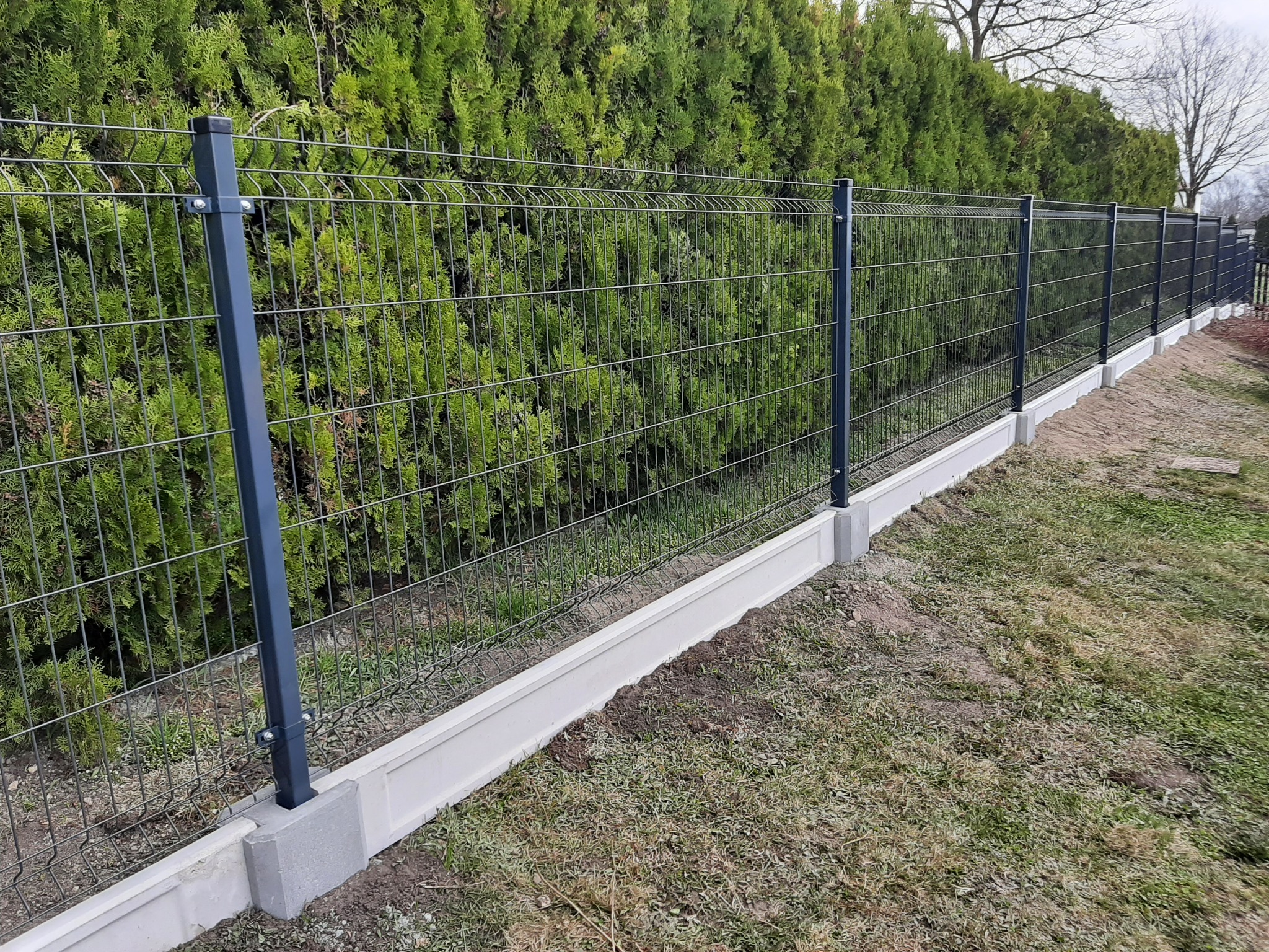 Nowoczesne ogrodzenie panelowe z podmurówką betonową, widoczne słupki w kolorze antracytowym i siatka ogrodzeniowa, w tle gęsty żywopłot.