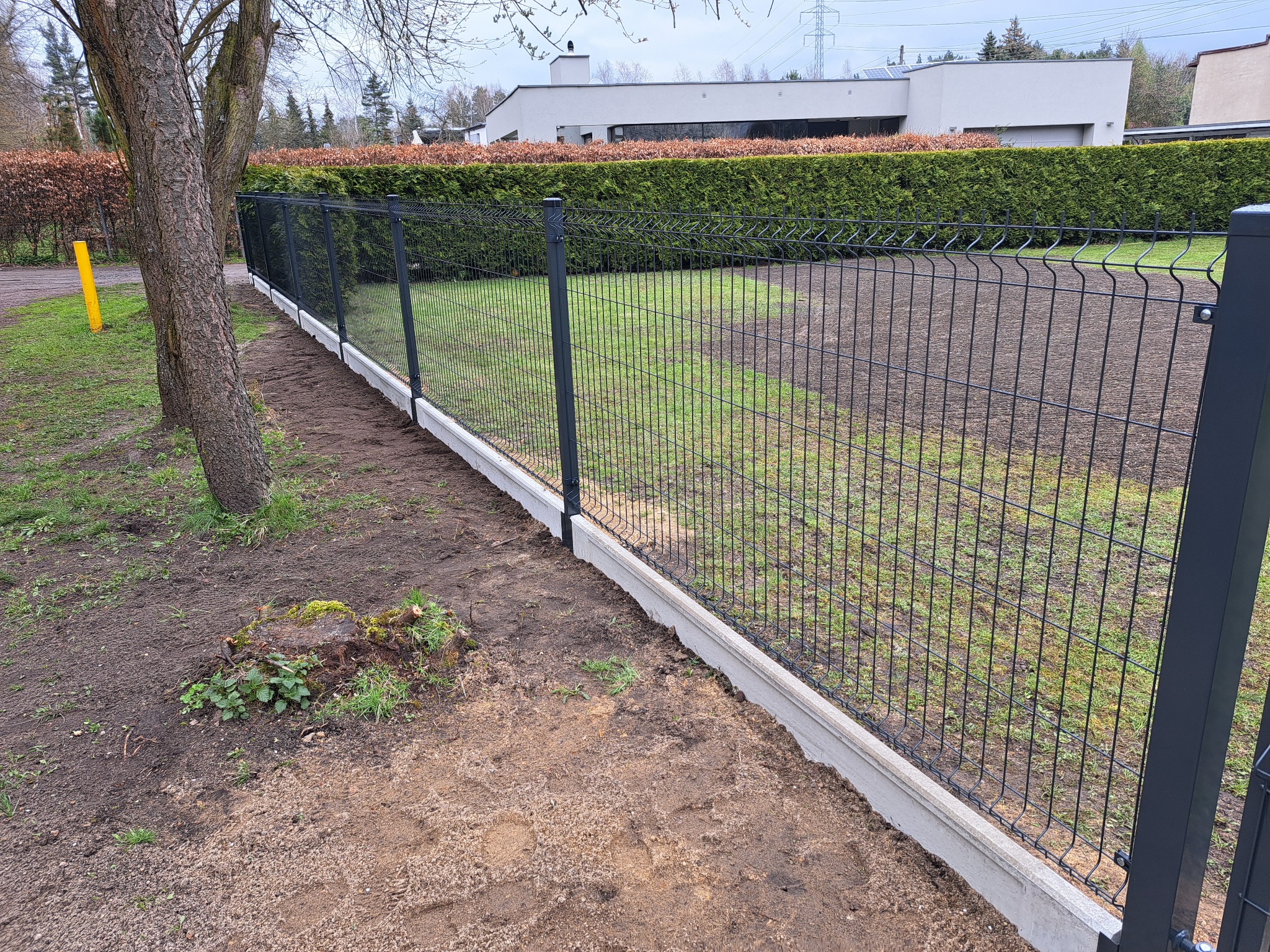Nowoczesne ogrodzenie panelowe w kolorze antracytowym, osadzone na betonowej podmurówce, widoczne na tle zielonego trawnika i żywopłotu, z fragmentem drzewa po lewej stronie i budynkiem w tle.