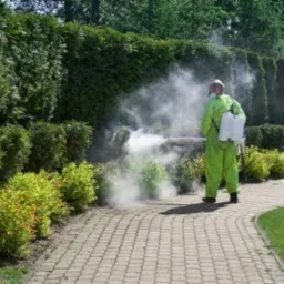 Pracownik w zielonym kombinezonie i masce ochronnej zamgławia roślinność w ogrodzie za pomocą opryskiwacza, tworząc gęstą, białą mgłę. Widoczny brukowany chodnik i zadbane krzewy.