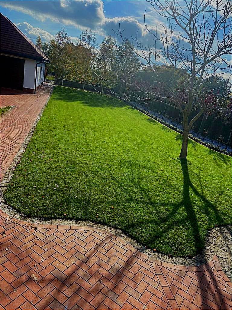 Starannie utrzymany trawnik graniczący z czerwoną kostką brukową ułożoną w jodełkę, cień drzewa na trawie, dom z białymi ścianami w tle, błękitne niebo z chmurami.