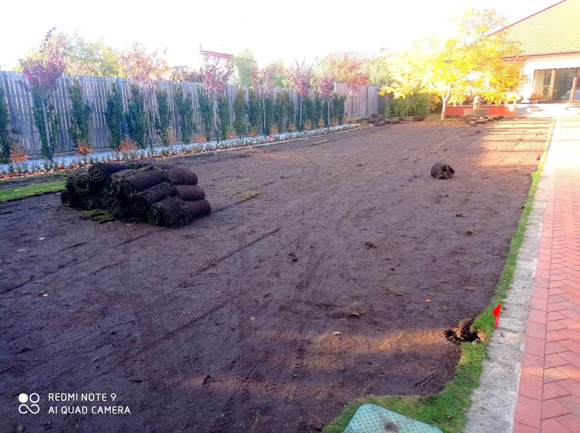 Przygotowany teren pod trawnik z rolki, widoczne ułożone rolki trawy, świeżo wyrównana ziemia, obrzeże z kostki i rabata z młodymi drzewkami w tle.