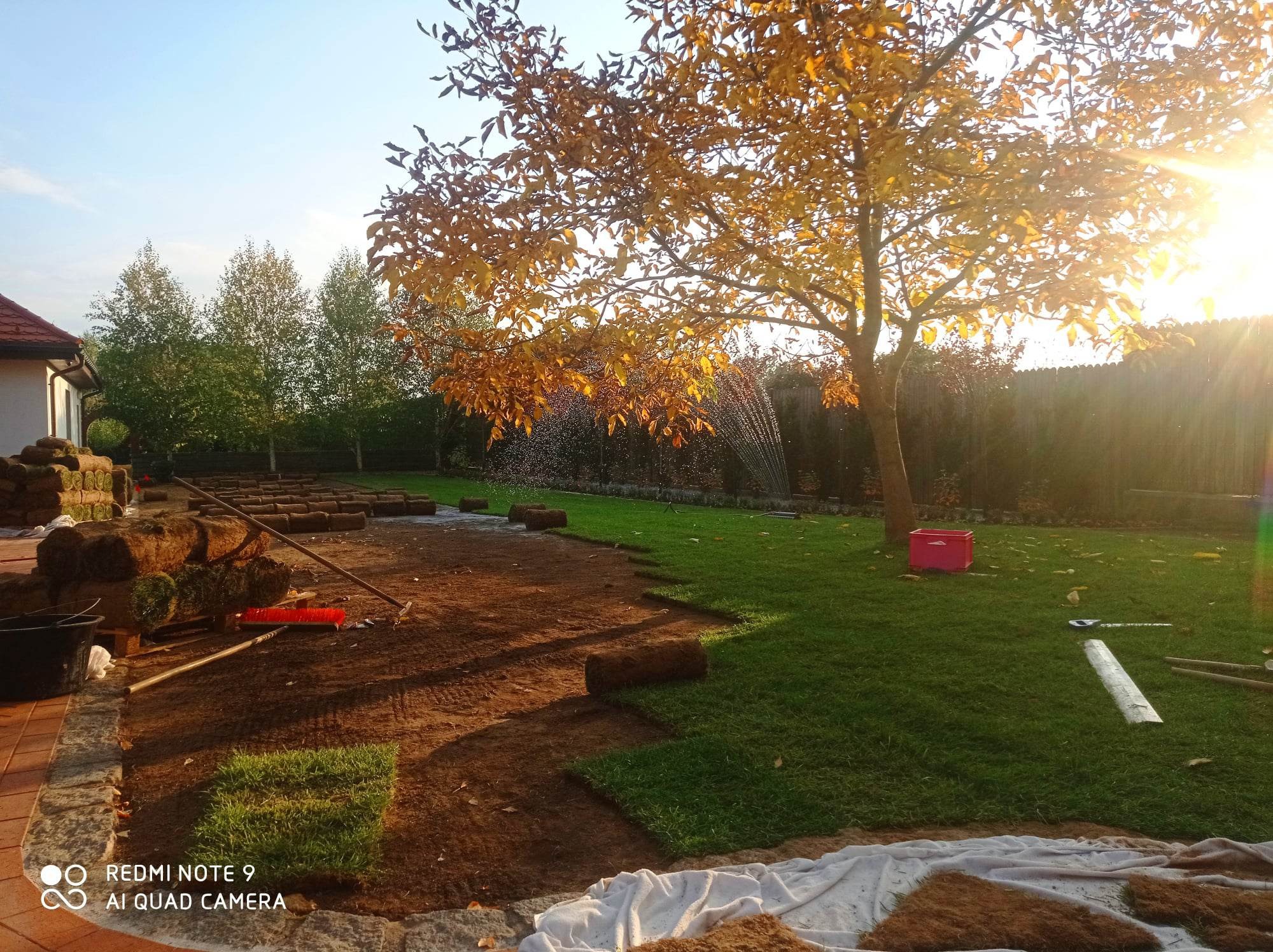 Rozwinięte i zwinięte rolki trawy na przygotowanym podłożu, zraszacz nawadnia trawnik w słoneczny dzień, widoczny czerwony pojemnik i narzędzia ogrodnicze.