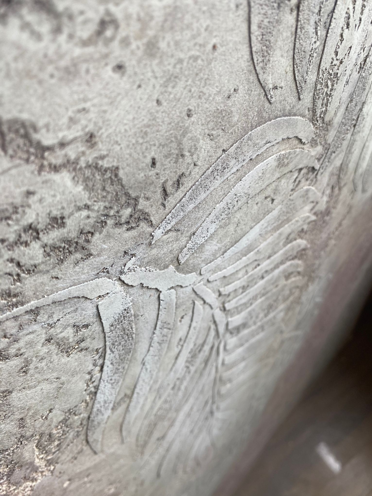 Dekoracyjna faktura tynku w odcieniach szarości, z wyraźnym wzorem przypominającym liść palmy, wykonana techniką reliefową. Widoczne nierówności i detale struktury.