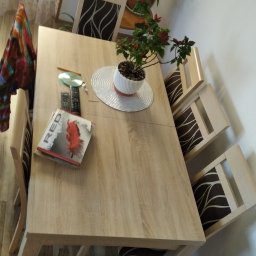 Przycinanie drzew Rokiciny Podhalańskie 4