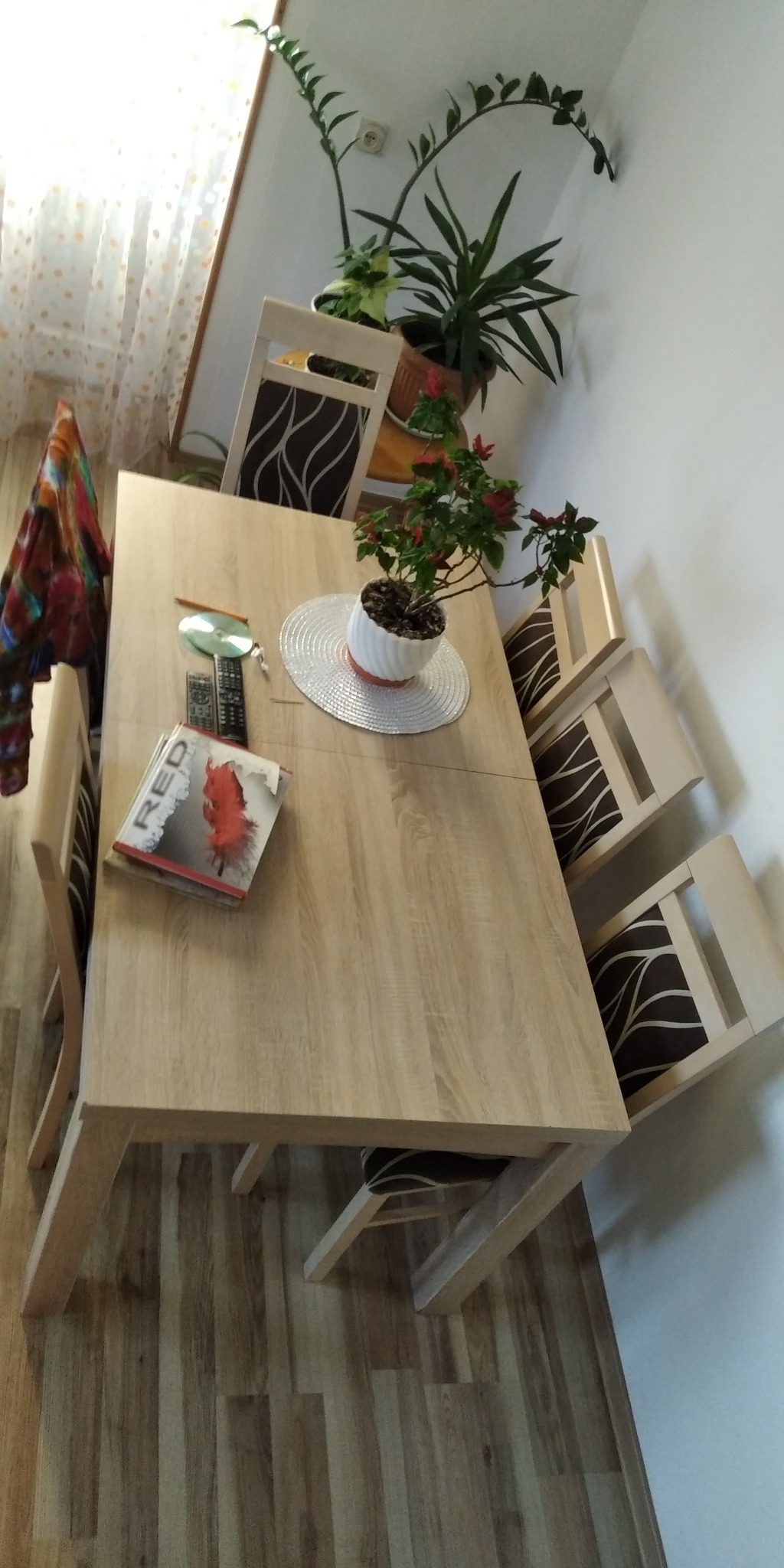 Jasny drewniany stół z czterema krzesłami, na blacie płyta CD, dwa piloty, książka z czerwoną grafiką i doniczka z kwitnącą rośliną, w tle zasłony i rośliny doniczkowe.