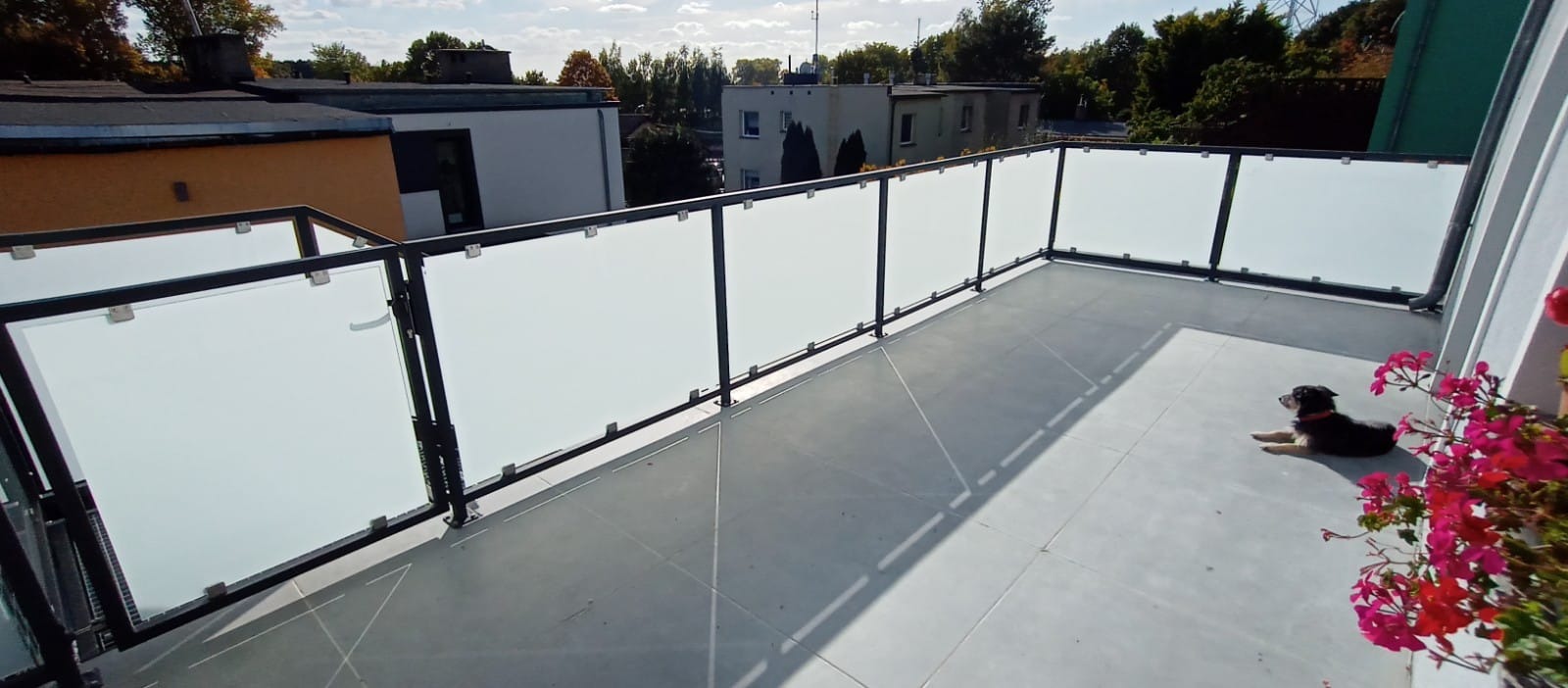 Nowoczesny taras z szarymi płytkami i balustradą ze szkła mlecznego z czarnymi profilami, w rogu leży pies, a obok doniczka z czerwonymi kwiatami.