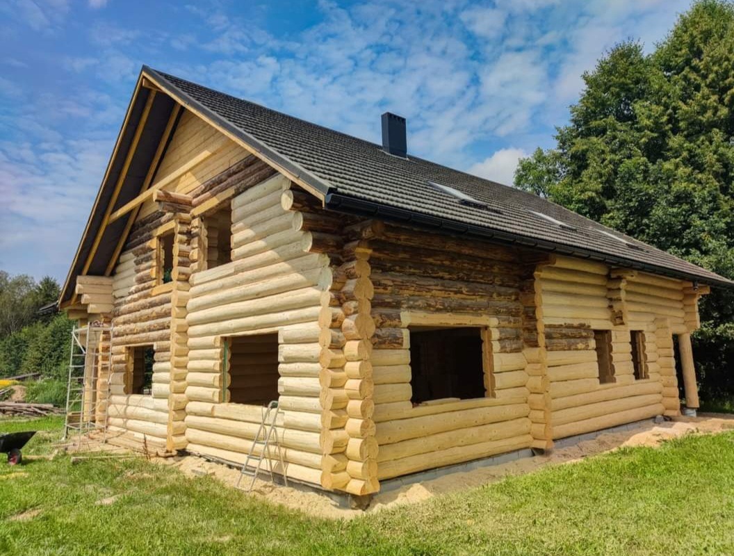 Surowy, dwukondygnacyjny dom z bali w trakcie budowy, z widoczną konstrukcją dachu i otworami okiennymi, stojący na zielonej działce, z drabiny opartymi o ściany i taczką w tle.