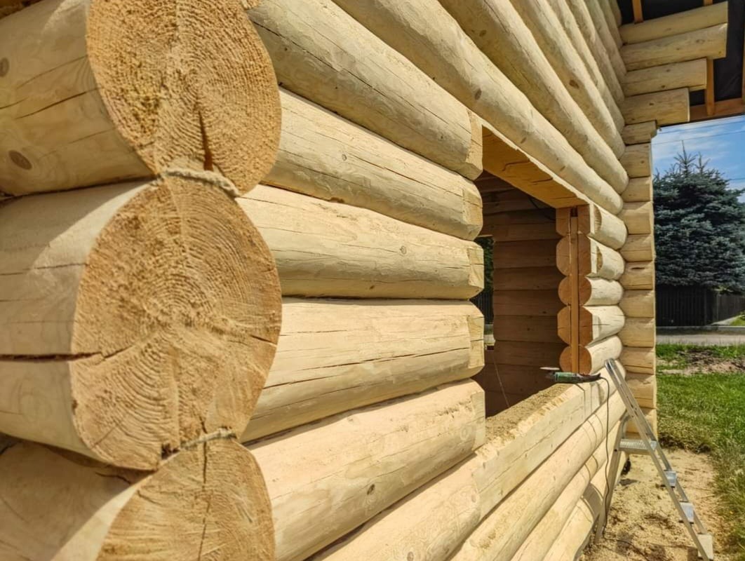 Konstrukcja domu z okrąglaków, widoczny fragment ściany z otworem okiennym, drabina oparta o ścianę, w tle iglaste drzewo.