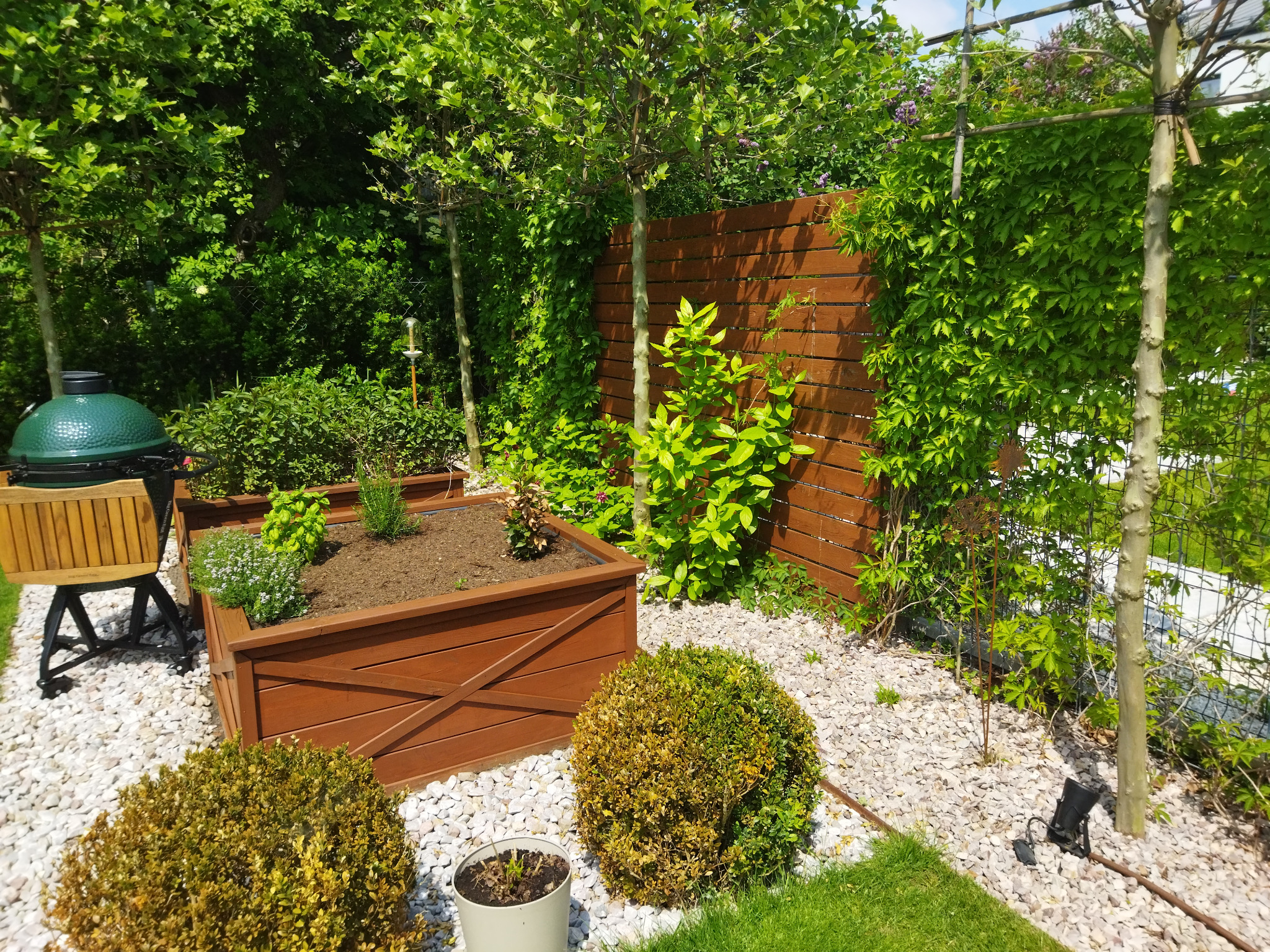 Ogród z drewnianymi skrzyniami na rośliny, brązowym ogrodzeniem, białymi kamykami i zieloną roślinnością, w tle grill typu Big Green Egg.
