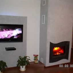 Wykończone wnętrze w Drogomyślu z kominkiem o czarnej obudowie i telewizorem w szarej ramie, uzupełnione roślinami doniczkowymi i drewnianą podłogą.