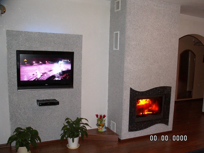 Wykończone wnętrze w Drogomyślu z kominkiem o czarnej obudowie i telewizorem w szarej ramie, uzupełnione roślinami doniczkowymi i drewnianą podłogą.