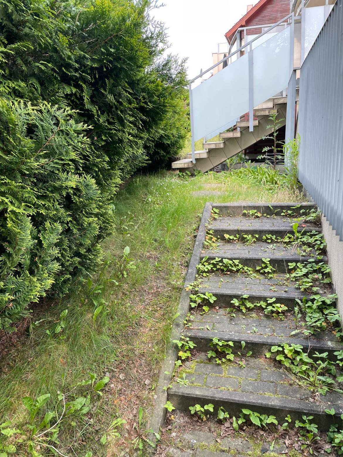 Zarośnięte chwastami kamienne schody prowadzące do budynku z metalową balustradą, obok bujny żywopłot i zaniedbany trawnik.