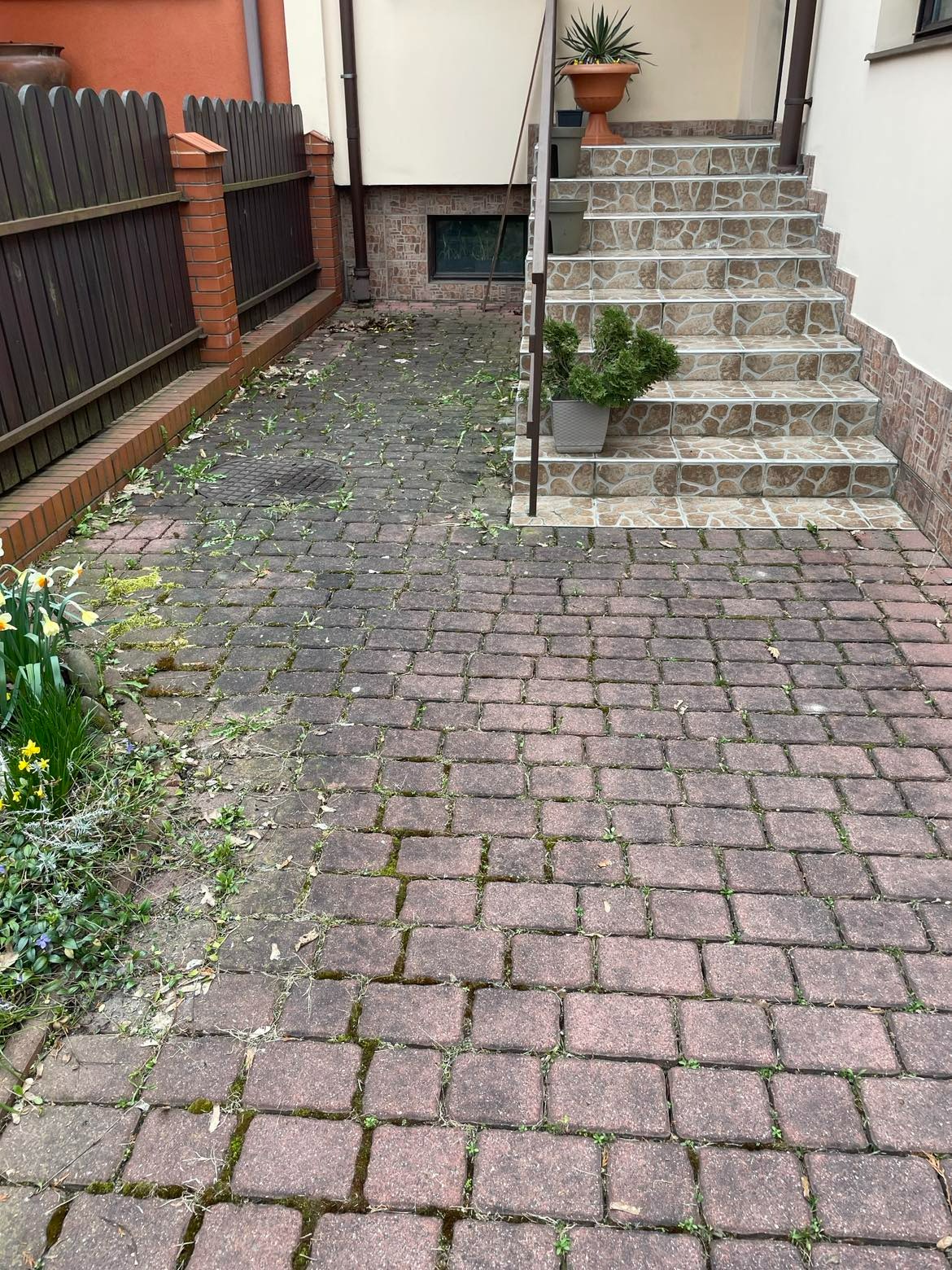 Częściowo wyczyszczona kostka brukowa przed domem z kwiatami i schodami, widoczna różnica w kolorze między czystą a brudną częścią.