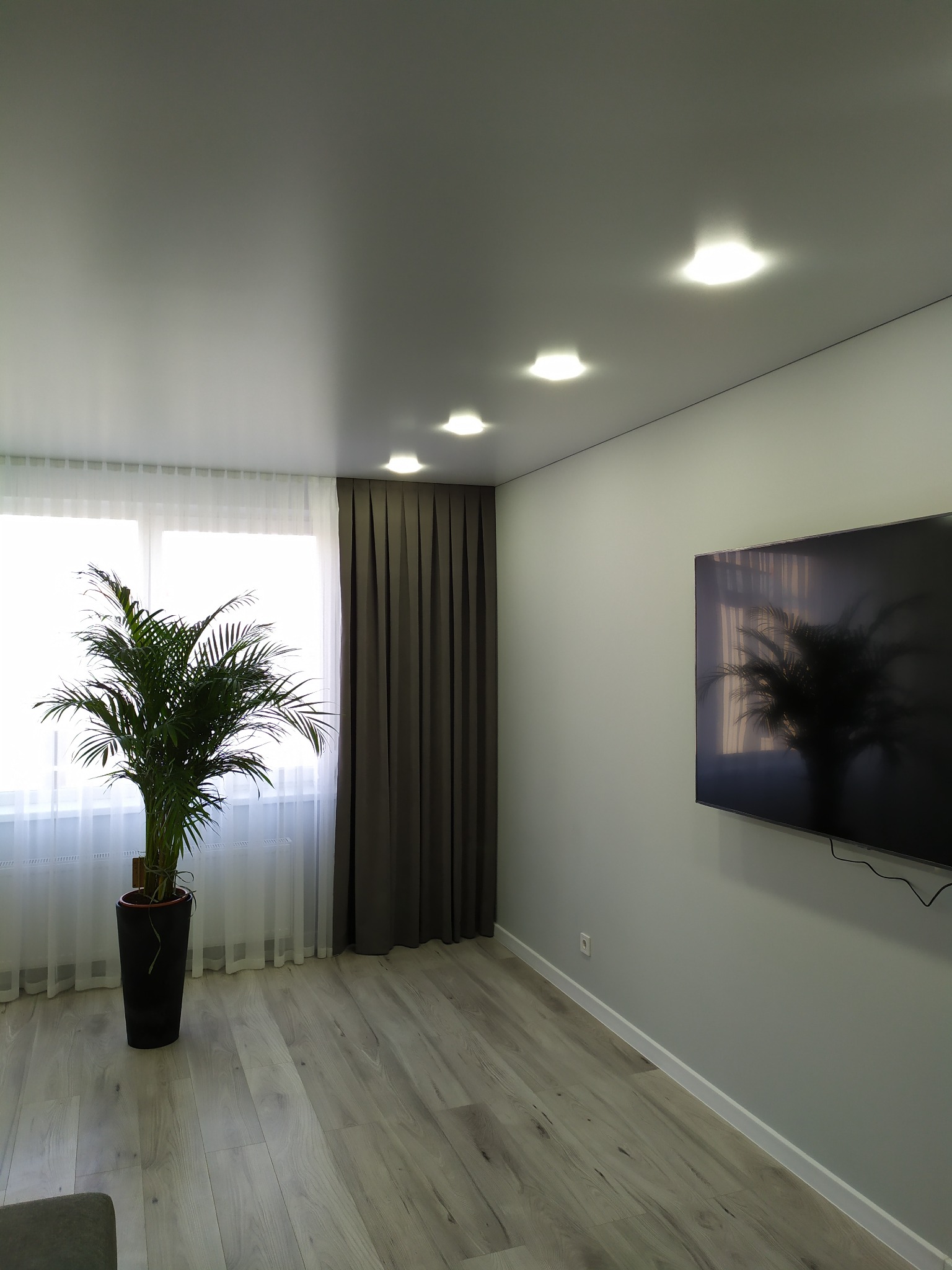 Minimalistyczne wnętrze pokoju z jasną podłogą, zieloną rośliną w czarnej donicy przy oknie z białymi firankami i szarymi zasłonami, oraz telewizorem na ścianie, oświetlonym przez punktowe lampy...