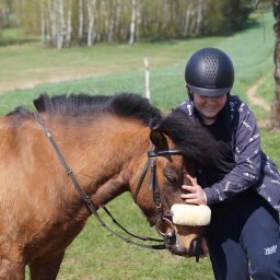 Stadniny i jazda konna Brzyszów 4
