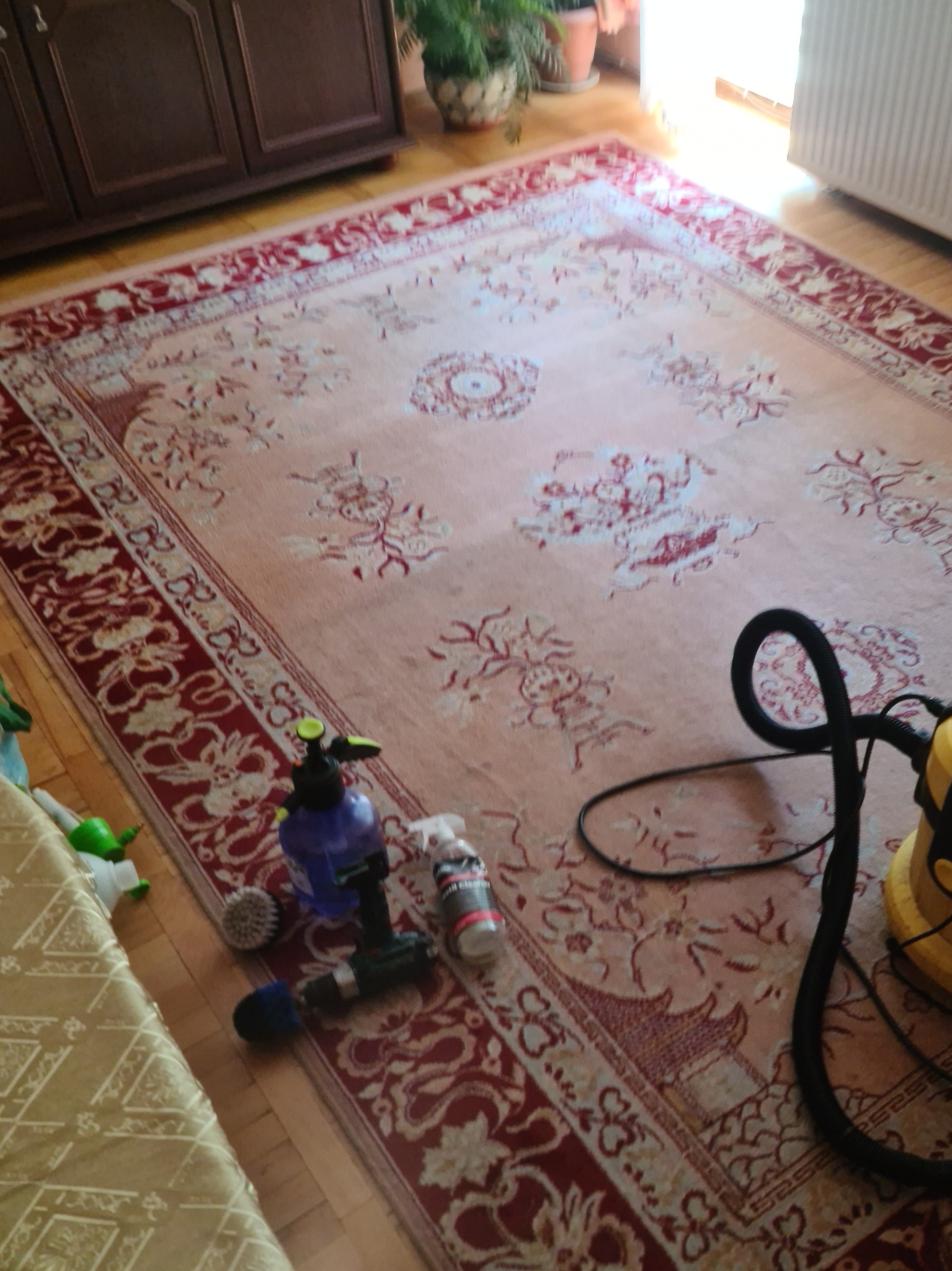 Wzorzysty, jasny dywan z czerwonym obramowaniem, na którym leżą narzędzia do czyszczenia: spryskiwacz, szczotki i butelka z detergentem, obok widoczny odkurzacz piorący.