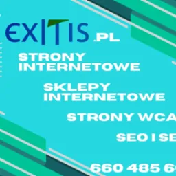 Grafika reklamowa z nazwą firmy EXITIS.PL, oferującej strony internetowe, sklepy internetowe, strony WCAG oraz usługi SEO i SEM, na turkusowym tle z zielonymi akcentami i numerem telefonu.