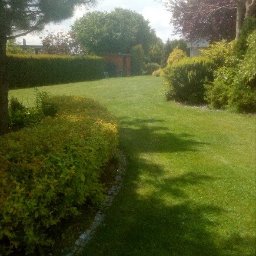 Pielęgnacja ogrodów Mikołów 2