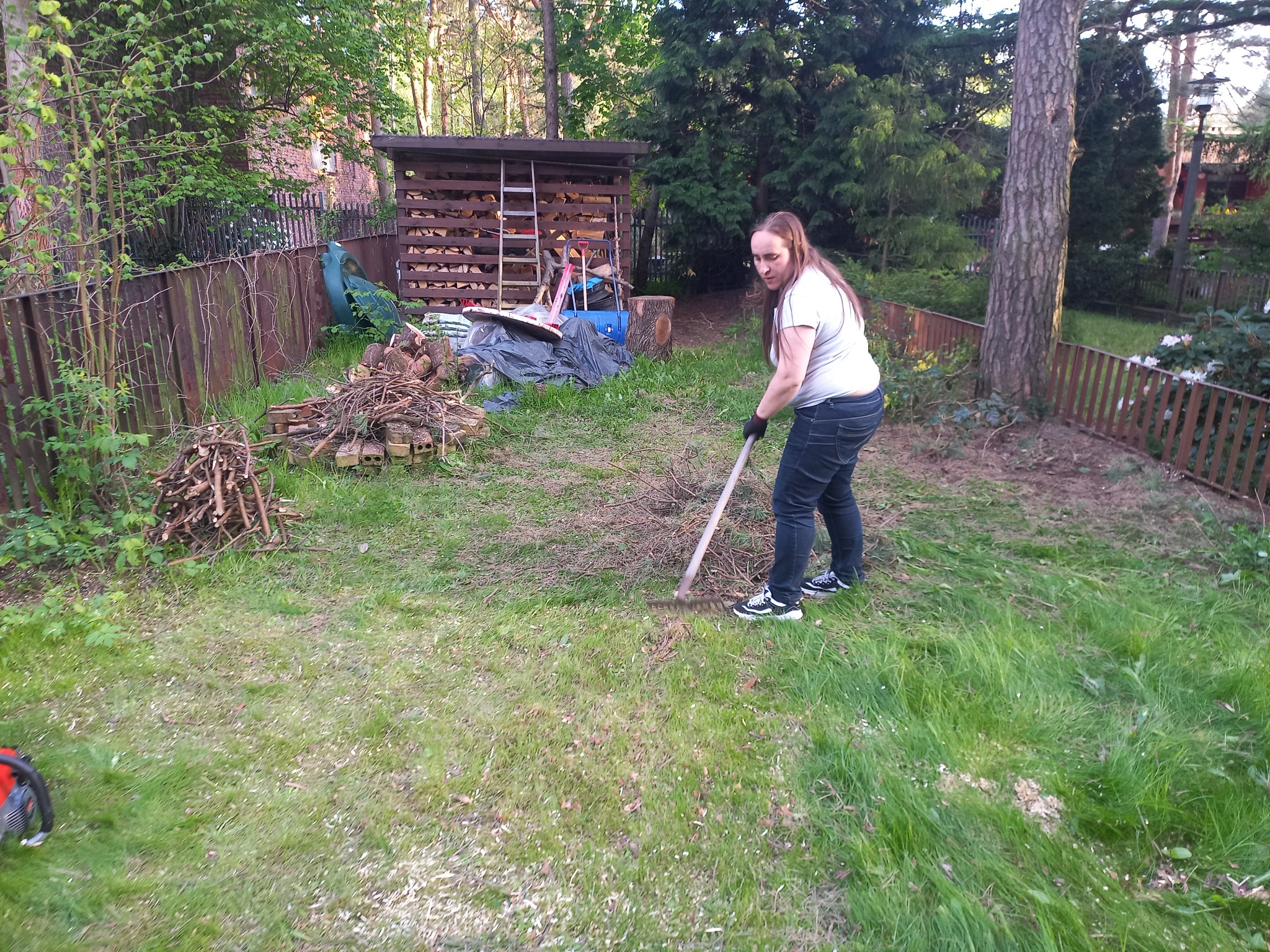 Kobieta w ogrodzie grabi trawę z resztek po wycince drzew, w tle sterta drewna, narzędzia i ogrodzenie.