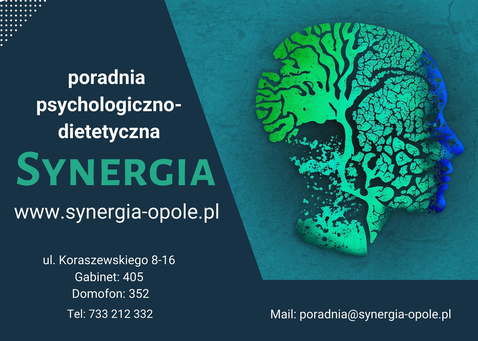 Logo poradni psychologiczno-dietetycznej Synergia z adresem, numerem telefonu i adresem e-mail, przedstawiające profil głowy wypełniony strukturą drzewa.