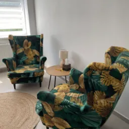 Jasny pokój z dwoma fotelami typu uszak w zielono-złote liście, okrągłym dywanem z juty oraz małym stolikiem z lampką i pudełkiem chusteczek.