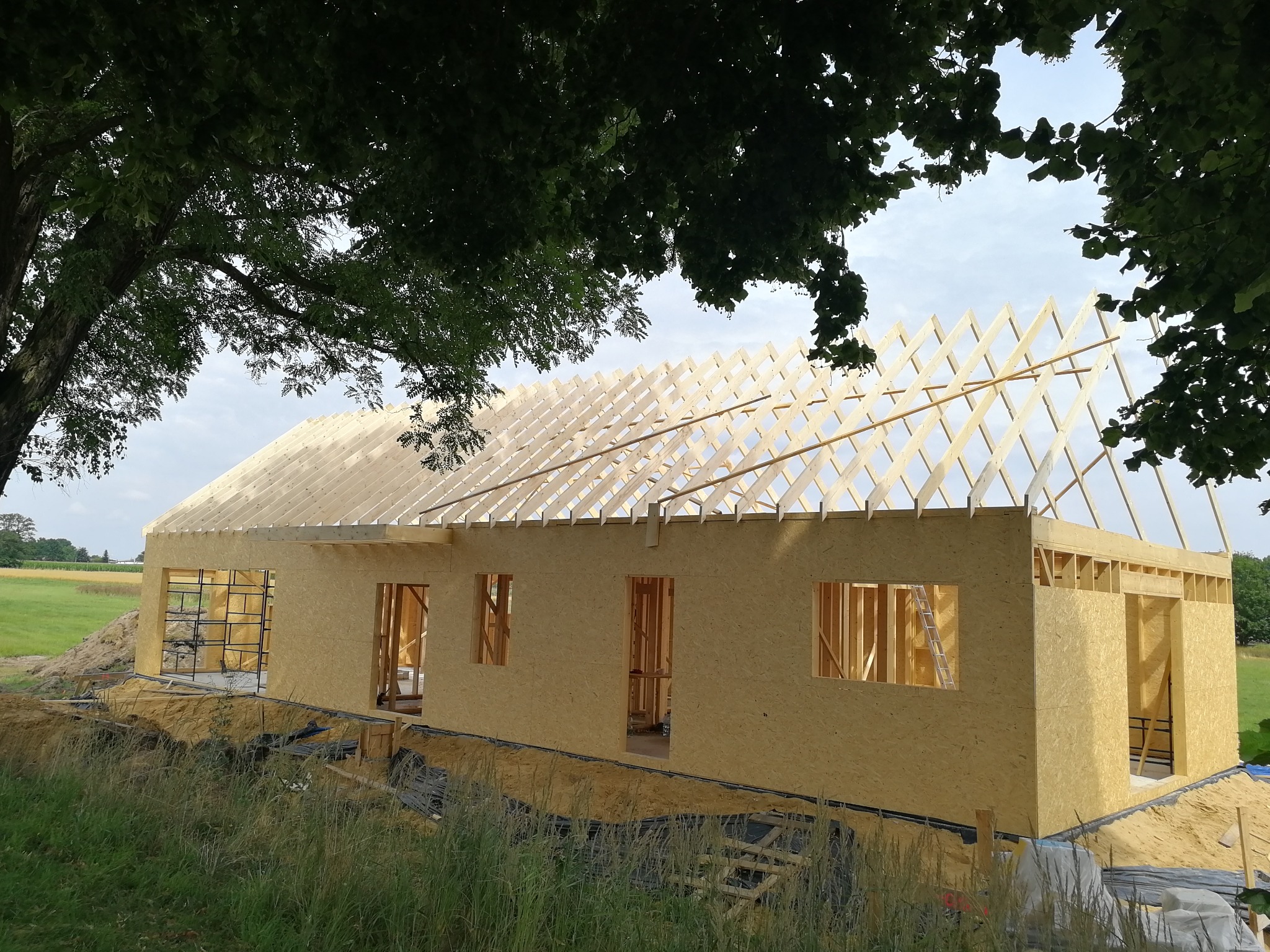 Surowy stan domu z płyty OSB w trakcie budowy, widoczne drewniane elementy konstrukcyjne dachu i ścian, otoczenie placu budowy z zielenią i drzewami.