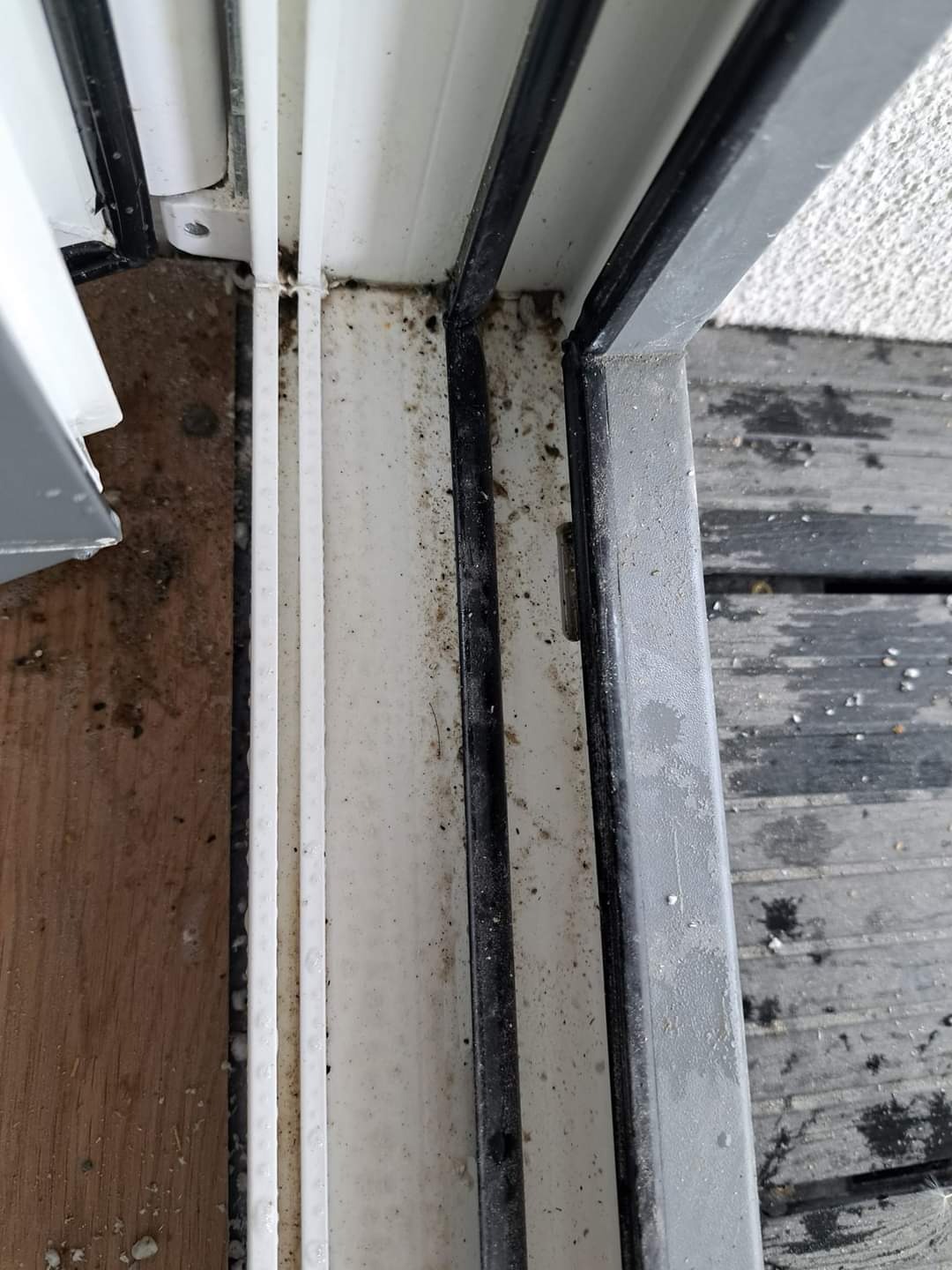 Silnie zabrudzone prowadnice okna balkonowego przed czyszczeniem, widoczne resztki organiczne i osad, z bliska