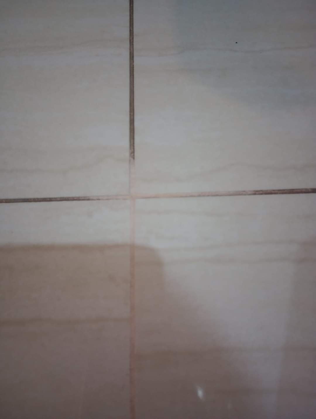 Powierzchnia jasnych płytek podłogowych z brudnymi fugami w kształcie krzyża.