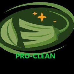 Pro-Clean Aleksandra Masiukiewicz - Czyszczenie Podsufitki Policko