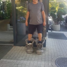 Wycinka drzew Wrocław 1