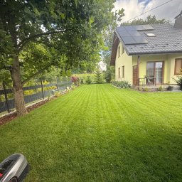 Trawa z rolki Kraków 3