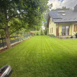 Perfekcyjnie skoszony trawnik z widocznymi pasami, przylegający do domu z panelami słonecznymi na dachu. W tle drzewa i ogrodzenie, a w rogu widoczny robot koszący.