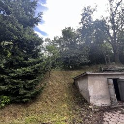 Pielęgnacja ogrodów Kraków 10