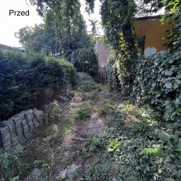Pielęgnacja ogrodów Kraków 3